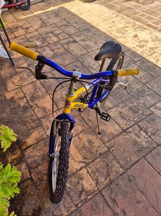 Bicicleta Infantil 20" AGECE