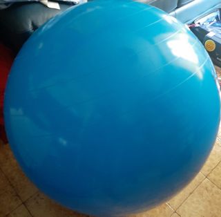 Palla Gymnastica Fisioterapia 95cm