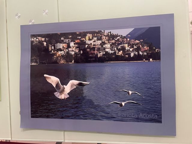 Lastre fotografiche 50x70 cm