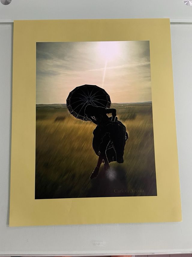 Lastre fotografiche 50x70 cm