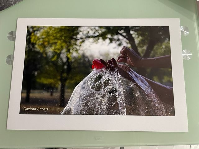 Lastre fotografiche 50x70 cm