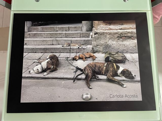 Lastre fotografiche 50x70 cm