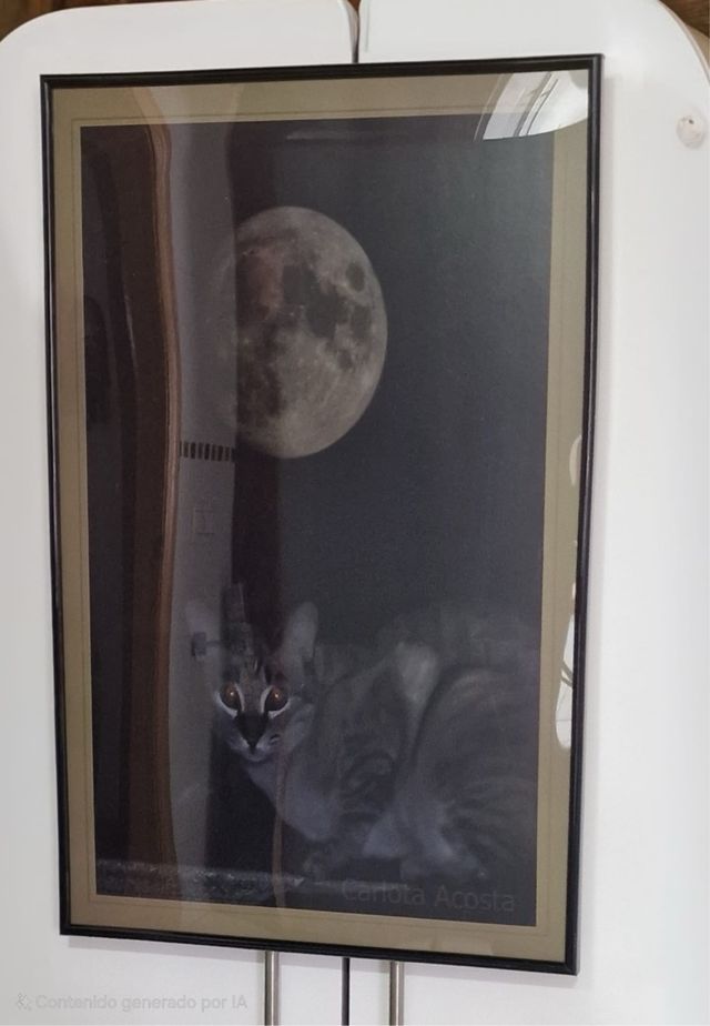 Foto incorniciata del gatto e della luna piena