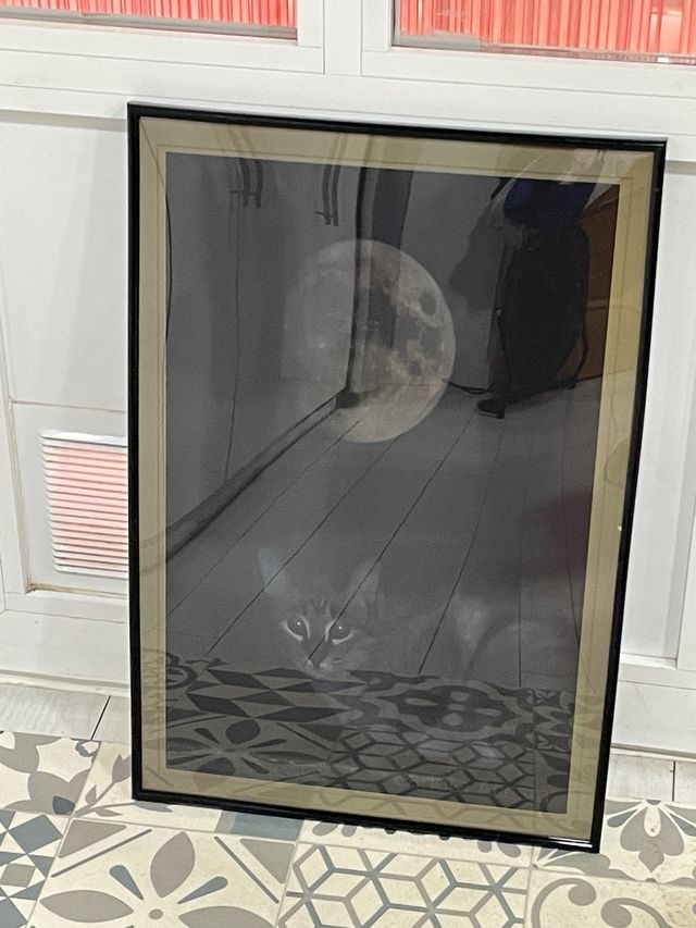 Foto incorniciata del gatto e della luna piena