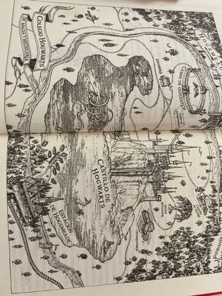 Harry Potter y la piedra filosofal (20 Aniv. Gr...