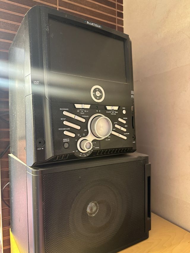 Reproductor DVD Bluetech con radio USB