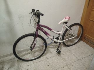 Bicicleta Mountain Series 50 seminueva