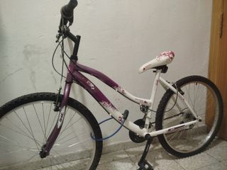 Bicicleta Mountain Series 50 seminueva
