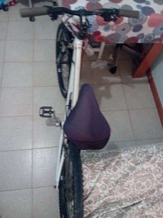 Bicicleta de montaña