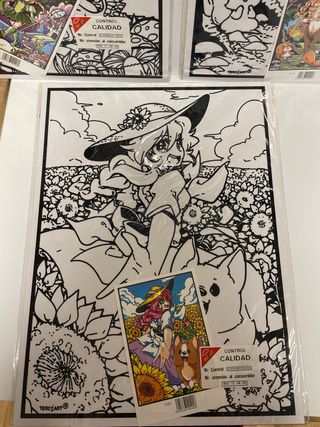 Lote 3 Láminas Terciart colorear.
Japoneses 1