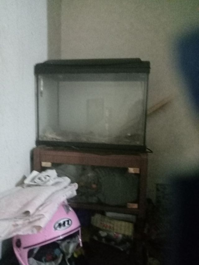 Pecera cristal mediana alta