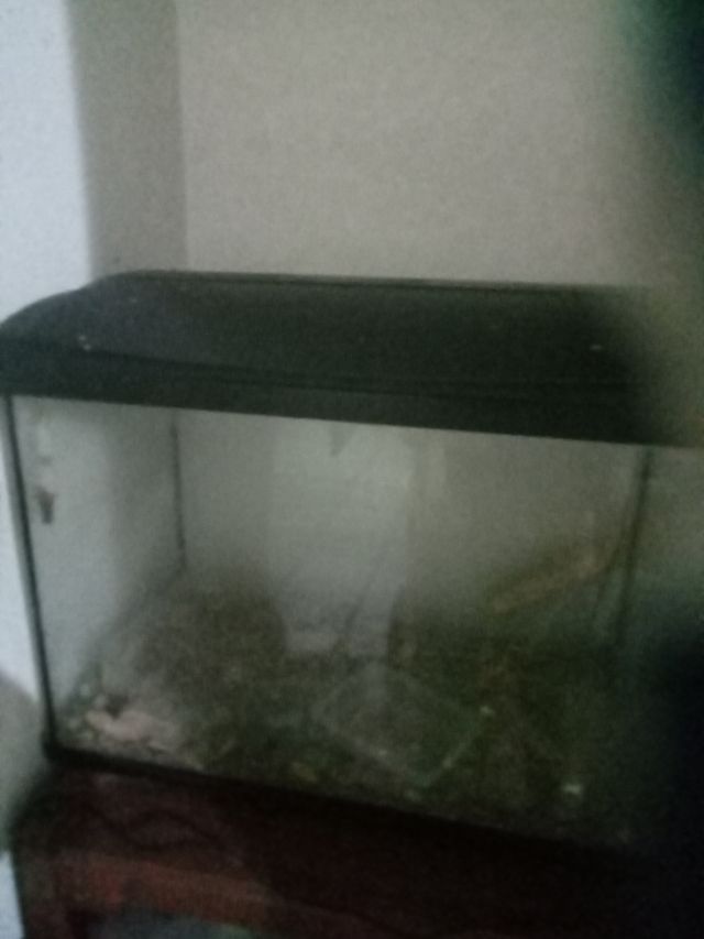 Pecera cristal mediana alta