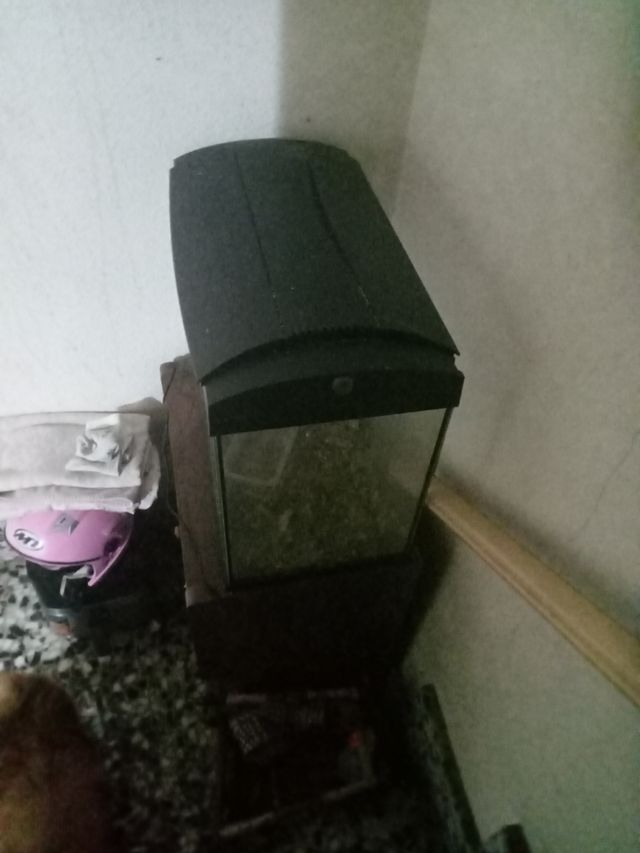 Pecera cristal mediana alta