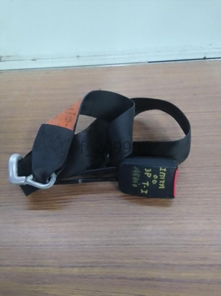 Cinturon seguridad trasero izquierdo Seat 