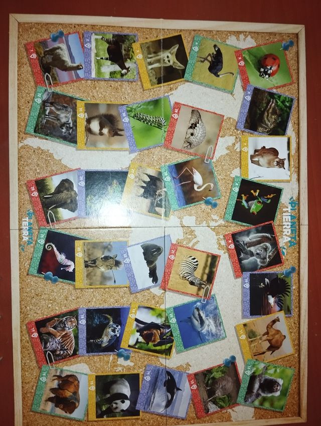 Planet Earth: gioco Educa