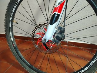 Bicicleta B-Pro montaña