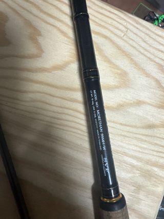 Caña Daiwa Morethan 99MH-W