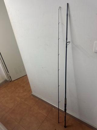 Caña Daiwa Morethan 99MH-W