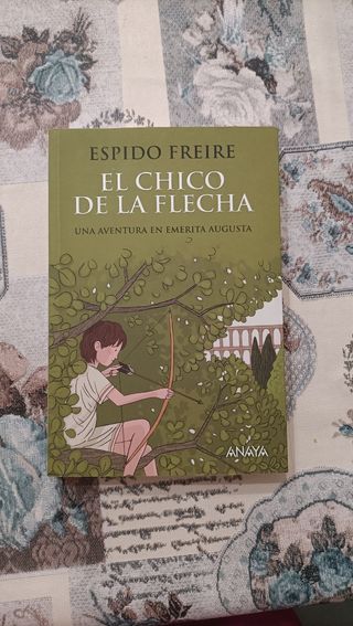 El chico de la flecha (Spanish Edition)
