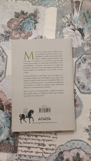 El chico de la flecha (Spanish Edition)