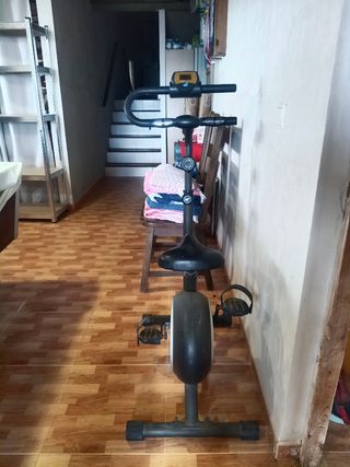 Bicicleta estática Esbelt Plus