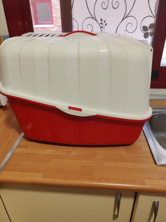 Arenero Gato Rojo y Blanco