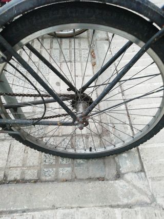 Bicicleta BH paseo para puesta a punto