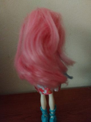 Muñeca cisne
