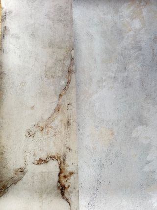 Fondos de fotografía profesional x2