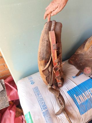 Collera y arreo antiguos
