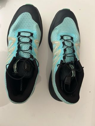 Zapatillas Salomon Pulsar Trail
