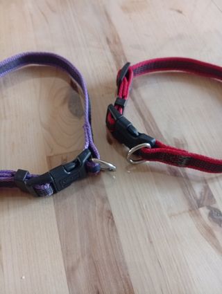 Accessori cani taglia piccola