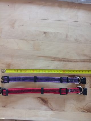 Accessori cani taglia piccola