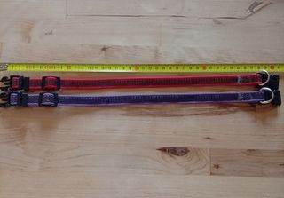 Accessori cani taglia piccola