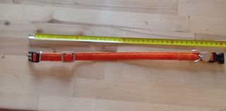 Accessori cani taglia piccola