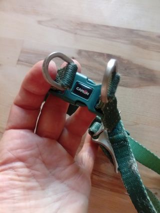 Accessori cani taglia piccola