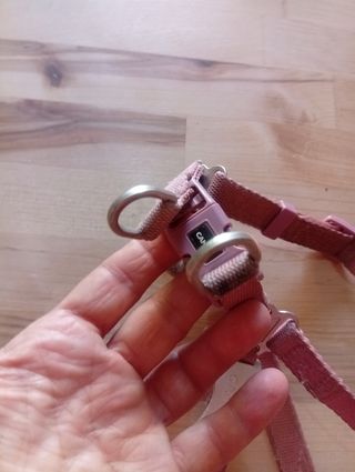 Accessori cani taglia piccola