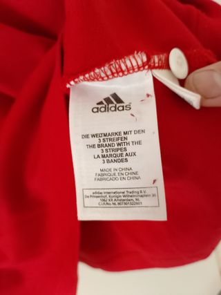 Maglia Rugby British & Irish Lions Adidas