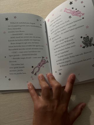 Isadora Moon. Urtebetetzea ospatzen du