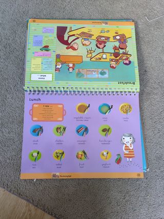 Words and Pictures: Picture Dictinonary