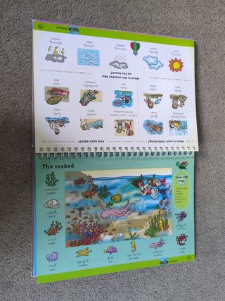 Words and Pictures: Picture Dictinonary