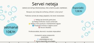 Limpieza hogar, limpiadora, chica limpieza 