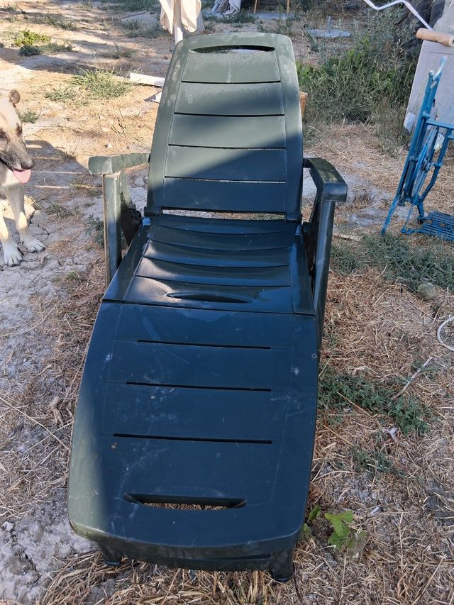 Silla tumbona jardín - Plegable - Verde