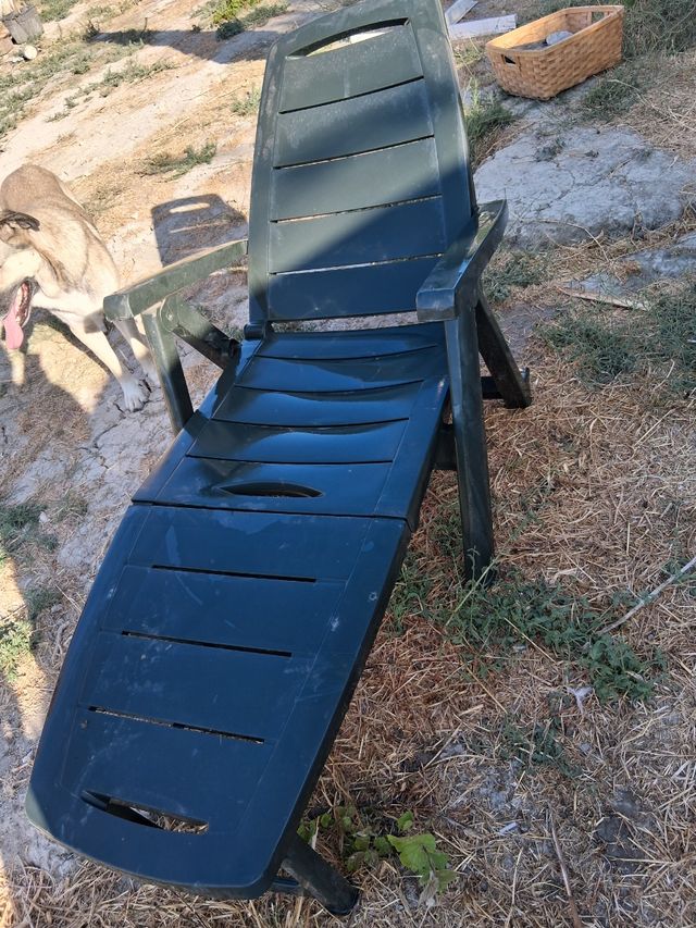 Silla tumbona jardín - Plegable - Verde