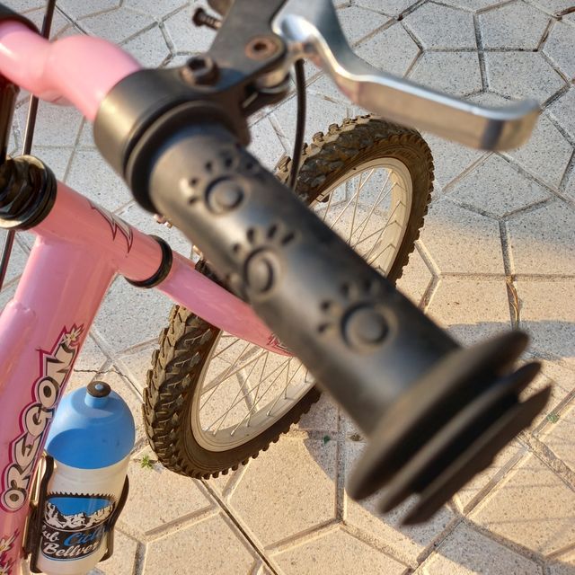 Bicicleta niña marca BH- Rebajada