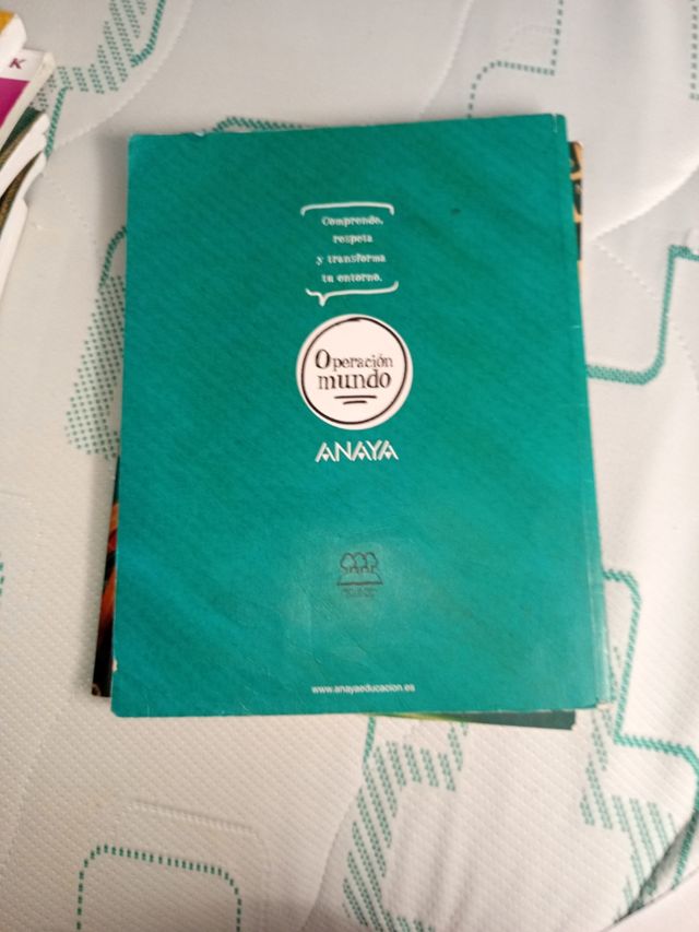 Lengua y Literatura 4