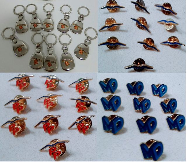 Lotes 20 Llaveros o pin del Partido Popular