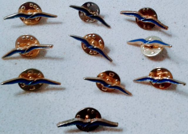 Lotes 20 Llaveros o pin del Partido Popular