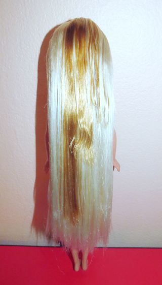 Barbie Teen Skipper 1996