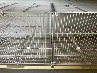 Jaulas de cría para canarios  